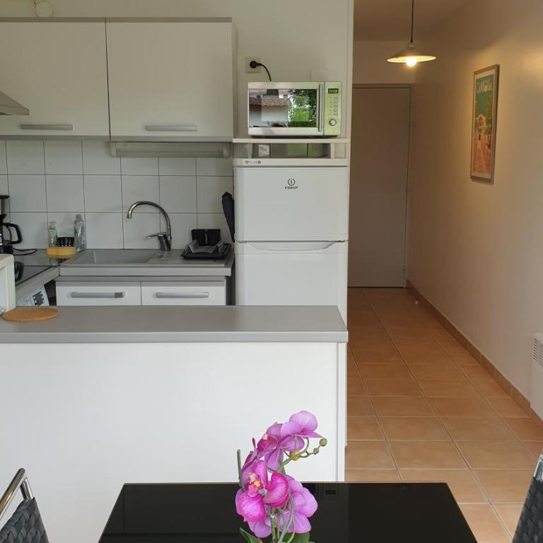 Appartement T2 - au calme et proche centre ville - idéal curistes et vacanciers - Appartement 1 Chambre - 22