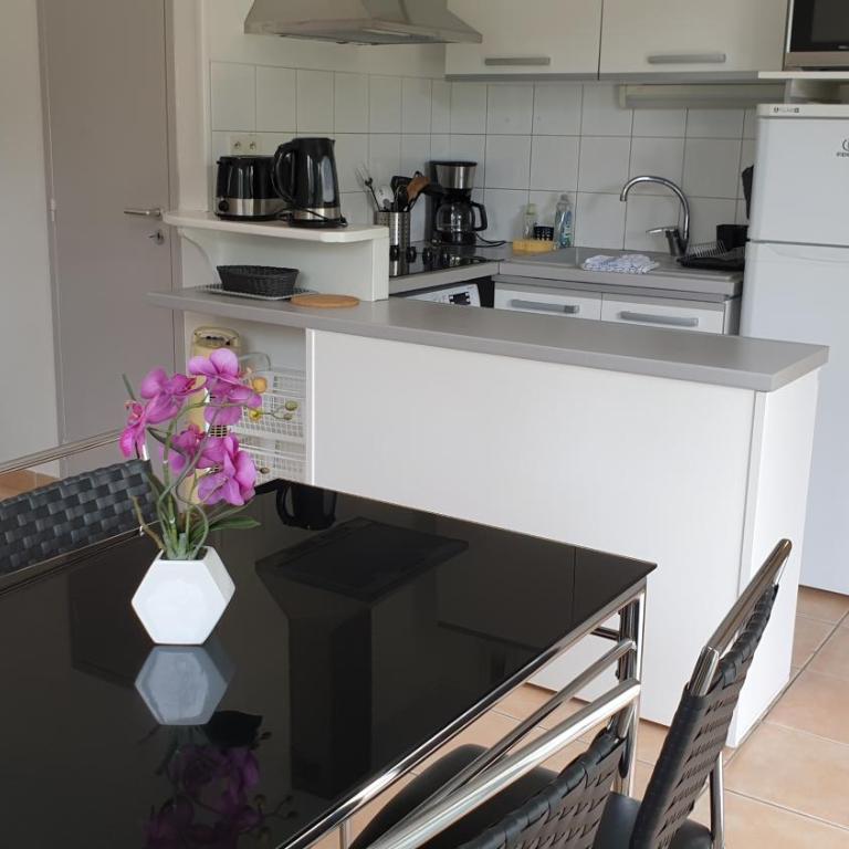 Appartement T2 - au calme et proche centre ville - idéal curistes et vacanciers - Appartement 1 Chambre - 4