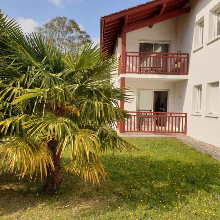 Appartement T2 - au calme et proche centre ville - idéal curistes et vacanciers - Appartement 1 Chambre - 2