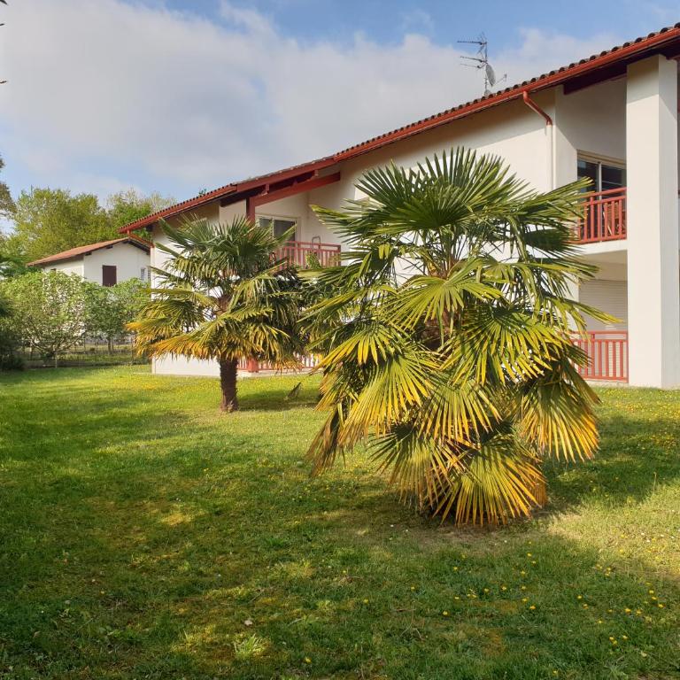 Appartement T2 - au calme et proche centre ville - idéal curistes et vacanciers - Appartement 1 Chambre - 38
