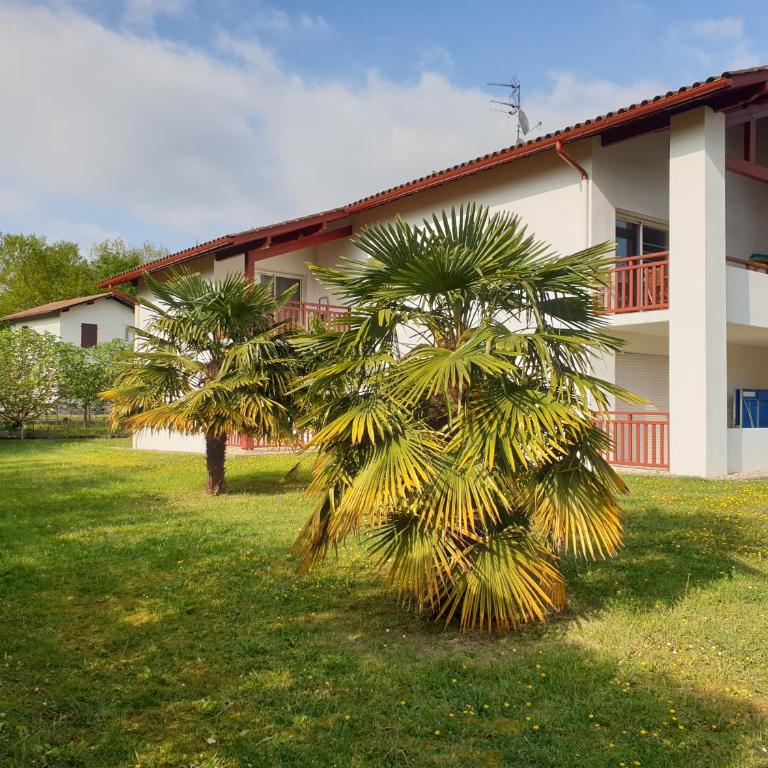 Appartement T2 - au calme et proche centre ville - idéal curistes et vacanciers - Appartement 1 Chambre - 43