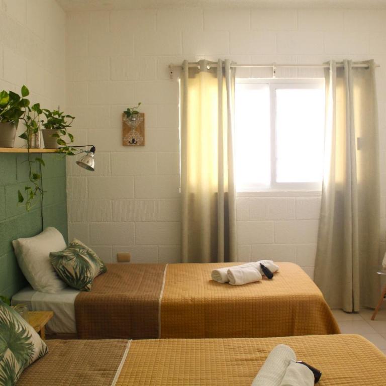 Casa Palmita - Twin Room with Shared Bathroom - 3