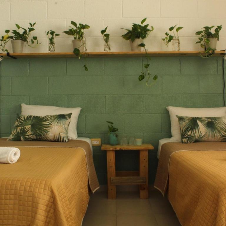 Casa Palmita - Twin Room with Shared Bathroom - 1