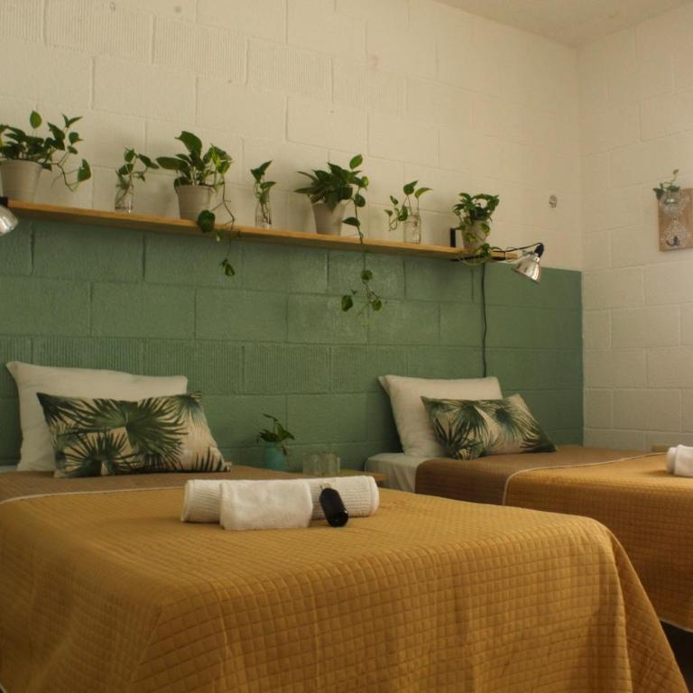 Casa Palmita - Twin Room with Shared Bathroom - 2