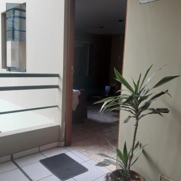 ALAVA 245 - Two-Bedroom Apartment - 12