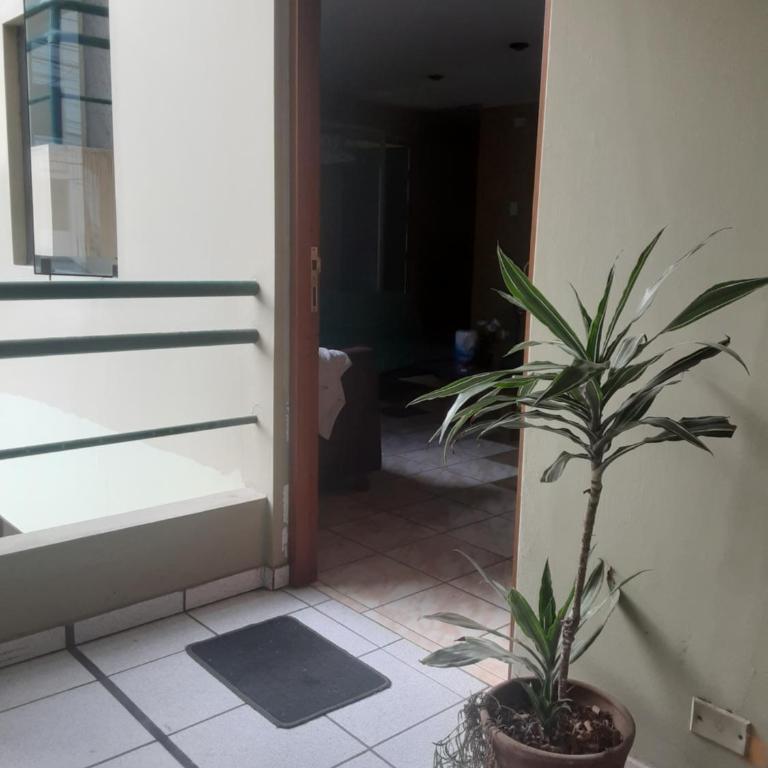 ALAVA 245 - Two-Bedroom Apartment - 15
