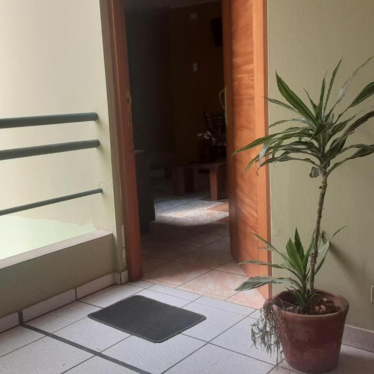 ALAVA 245 - Two-Bedroom Apartment - 1