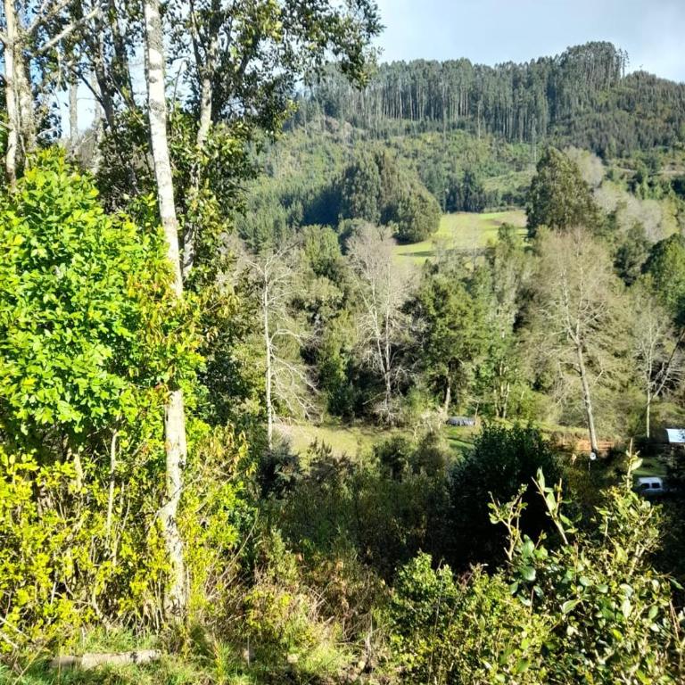 El Arrayán - Two-Bedroom Chalet - 2
