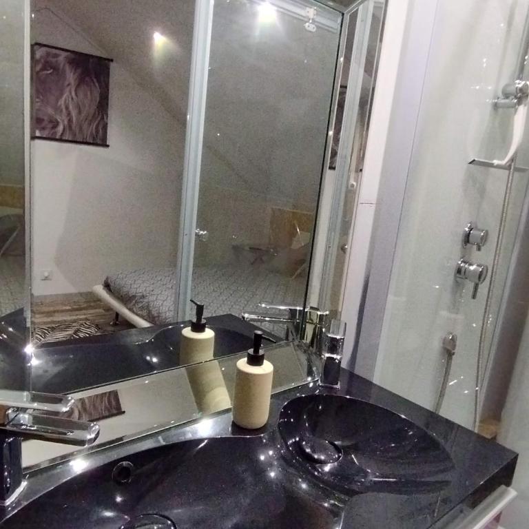 Gîte Sauna Balnéo Lâchez Prise Meublé de tourisme classé 3 étoiles VERTON - Casa con 1 dormitorio - 17