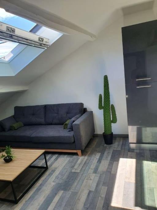 App 2 ch, spacieux et lumineux - Appartement 2 Chambres - 9