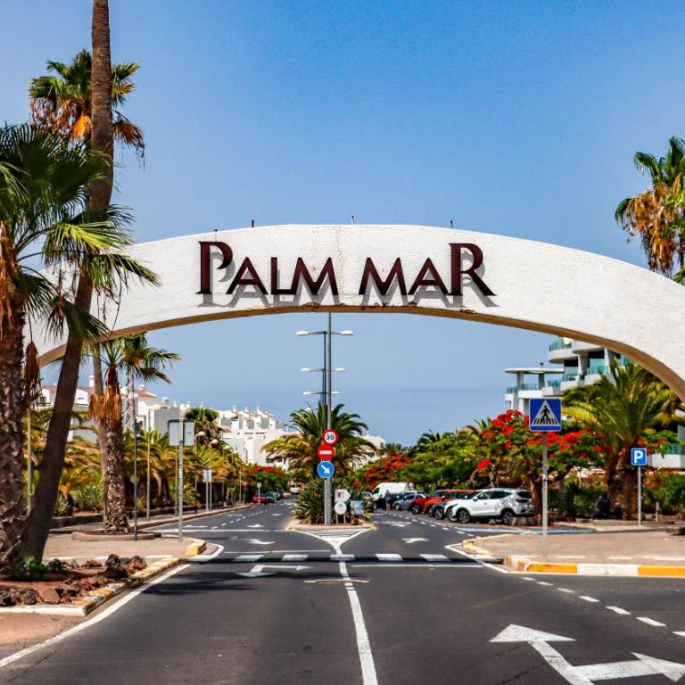 Amazing & Chill Terrace Palm Mar - Two-Bedroom Apartment - 46