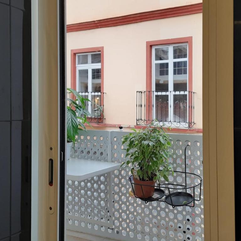 Apartment with two Suites in the Center of Malaga - Apartamento de 2 dormitorios - 32