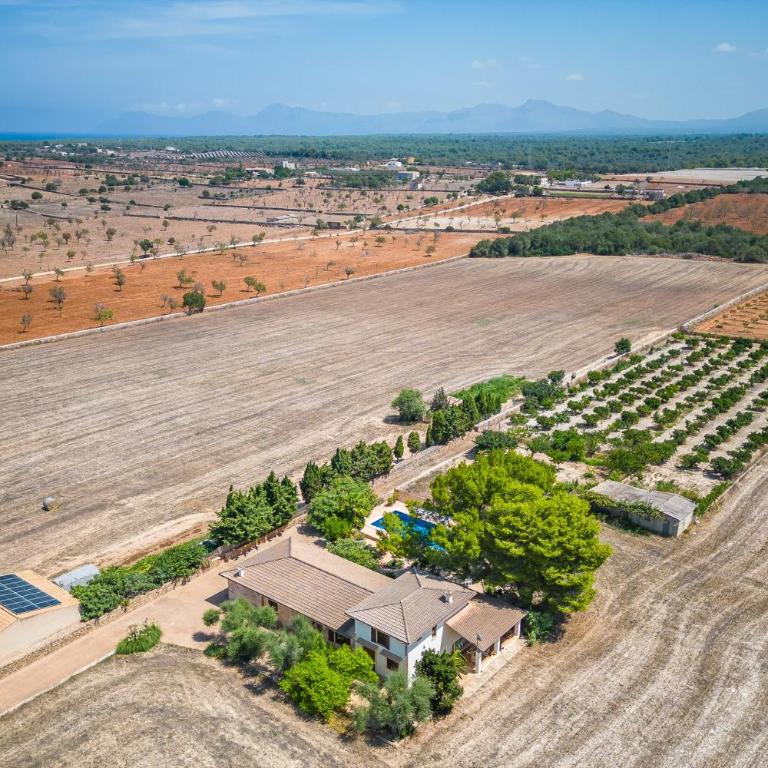 Ideal Property Mallorca - Can Ribas - Vacation Home - 58