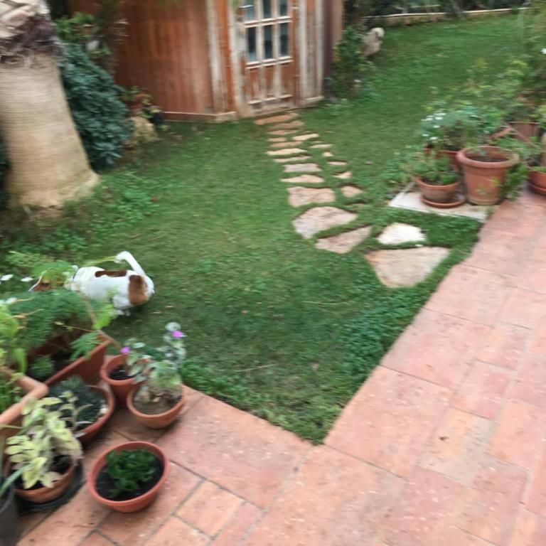 Villetta tre delfini - Villa con 3 Camere da Letto - 7