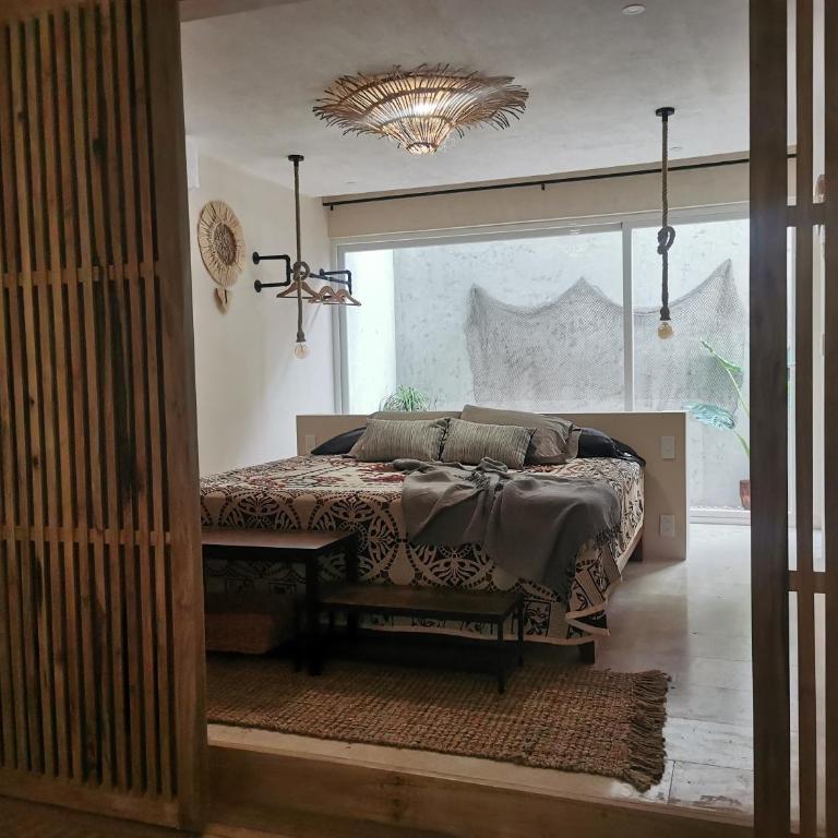 Jungle Chic - Apartamento - Planta baja - 3