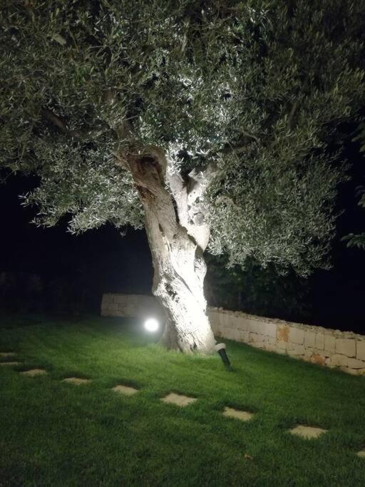 Villa Greta - Villa con 2 Camere da Letto - 17
