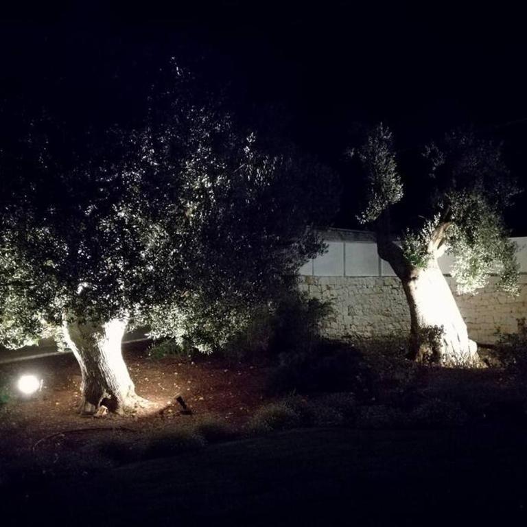 Villa Greta - Villa con 2 Camere da Letto - 25