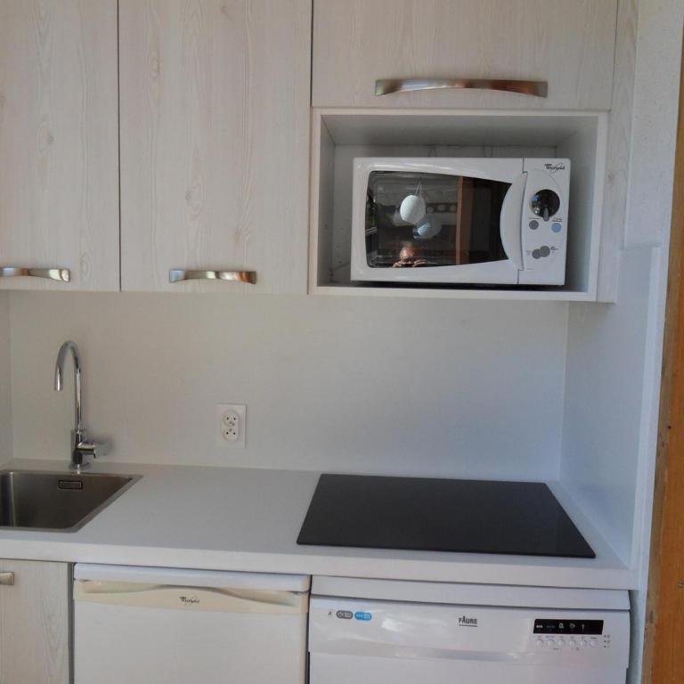 Studio confort 4 pers, piste, balcon, animaux admis - Studio - 9