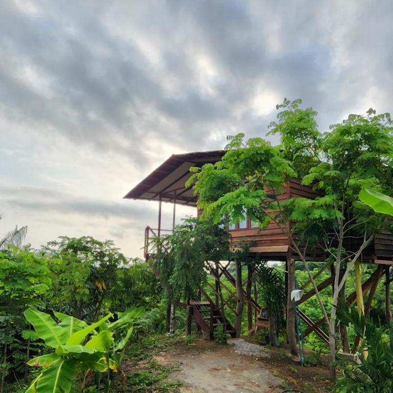 La Casita del Bosque - Habitación con cama extragrande y vistas al mar - 7