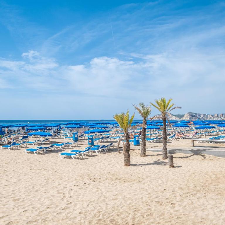 Santa Margarita Deluxe 14-C Levante Beach - Apartment - 37