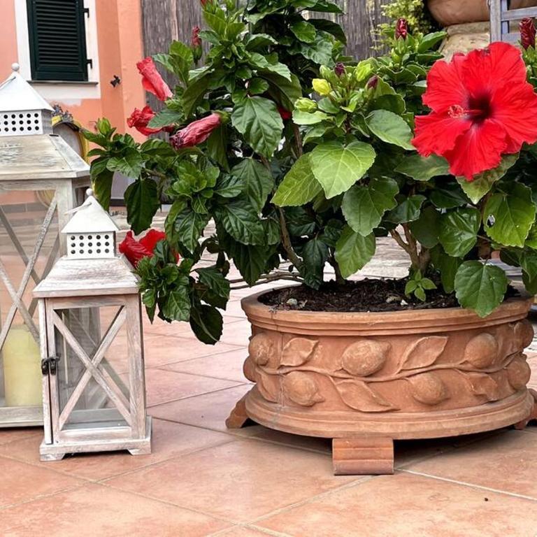 Annali Casa vacanze - Shabby style nella natura - Casa con 3 Camere da Letto - 19