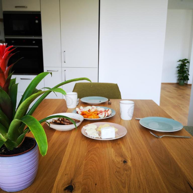 Spacy Apartment next to the center of Graz with terrasse - Apartment mit 1 Schlafzimmer - 5