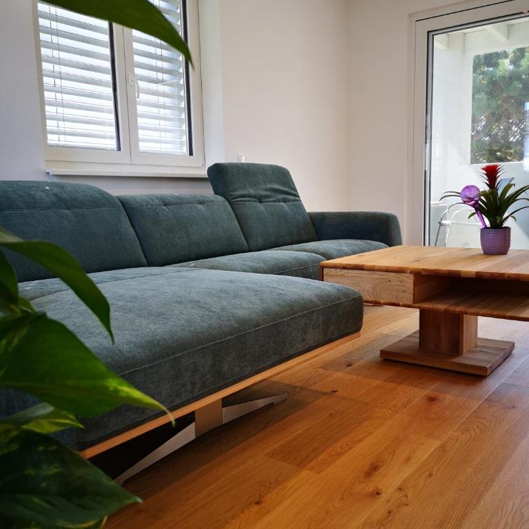 Spacy Apartment next to the center of Graz with terrasse - Apartment mit 1 Schlafzimmer - 2