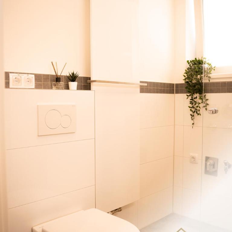 Belrado Apartments - Apartman sa 1 Spavaćom Sobom - 8