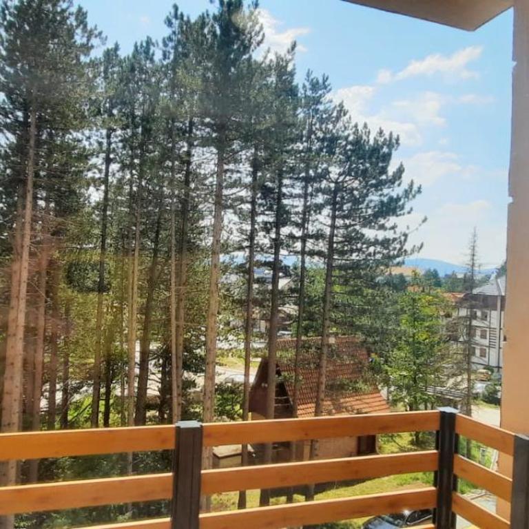 Beli Bor Deluxe - Apartman sa 1 Spavaćom Sobom - 14