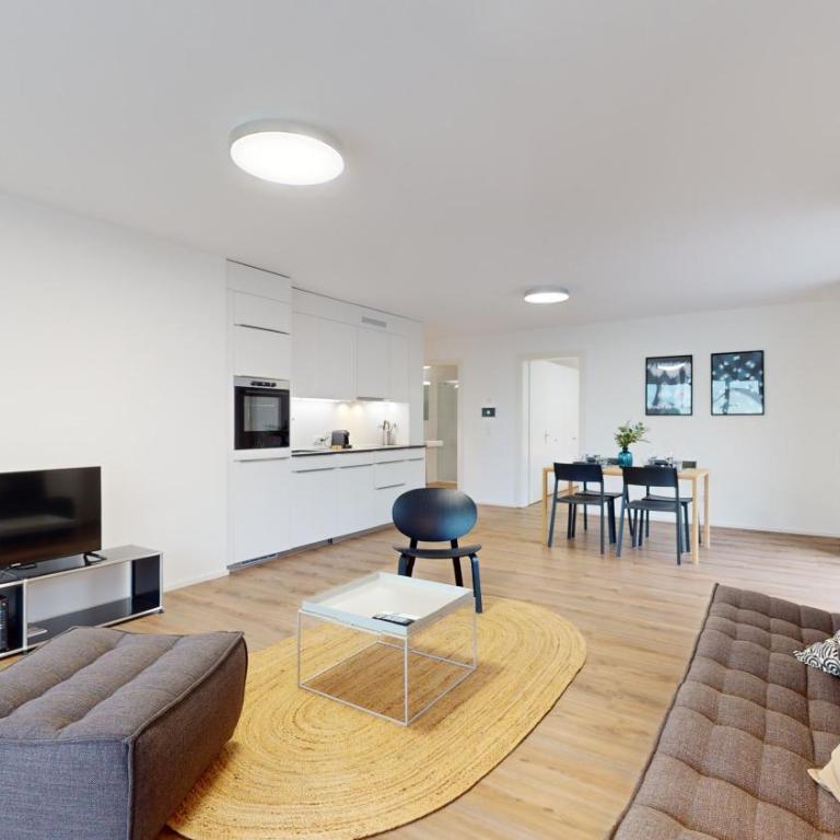 Bright & modern apartments in Sion - Apartment mit 1 Schlafzimmer - 1