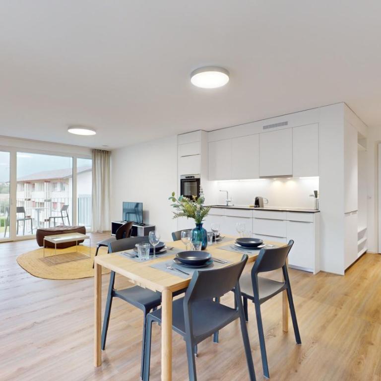 Bright & modern apartments in Sion - Apartment mit 1 Schlafzimmer - 7
