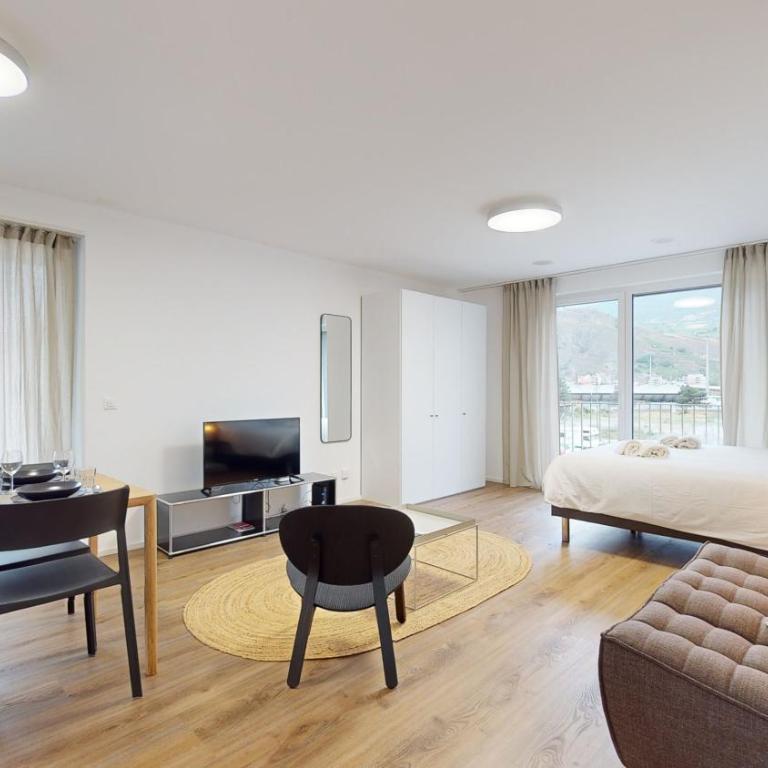 Bright & modern apartments in Sion - Deluxe Studio - 7