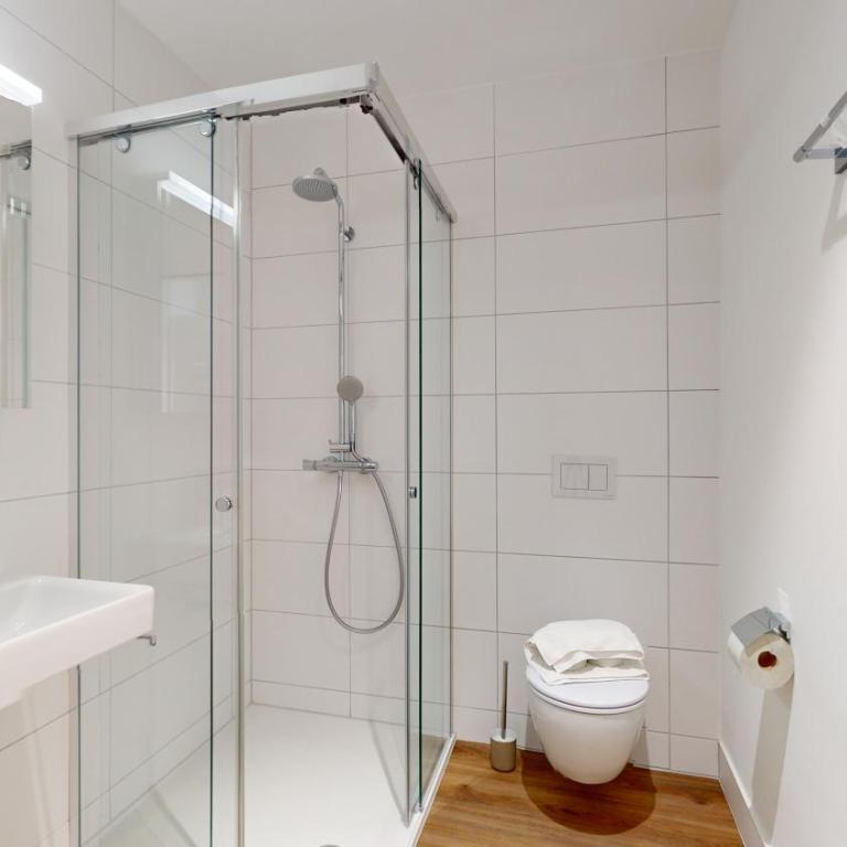 Bright & modern apartments in Sion - Deluxe Studio - 1