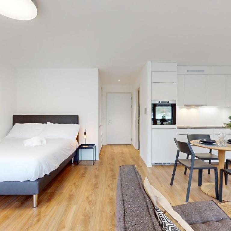 Bright & modern apartments in Sion - Deluxe Studio - 3