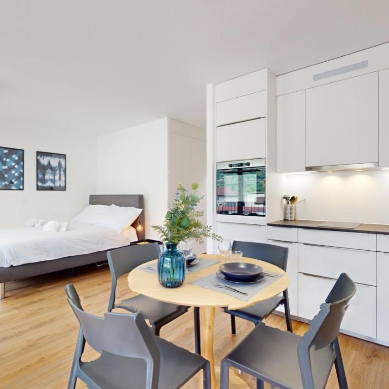 Bright & modern apartments in Sion - Deluxe Studio - 6