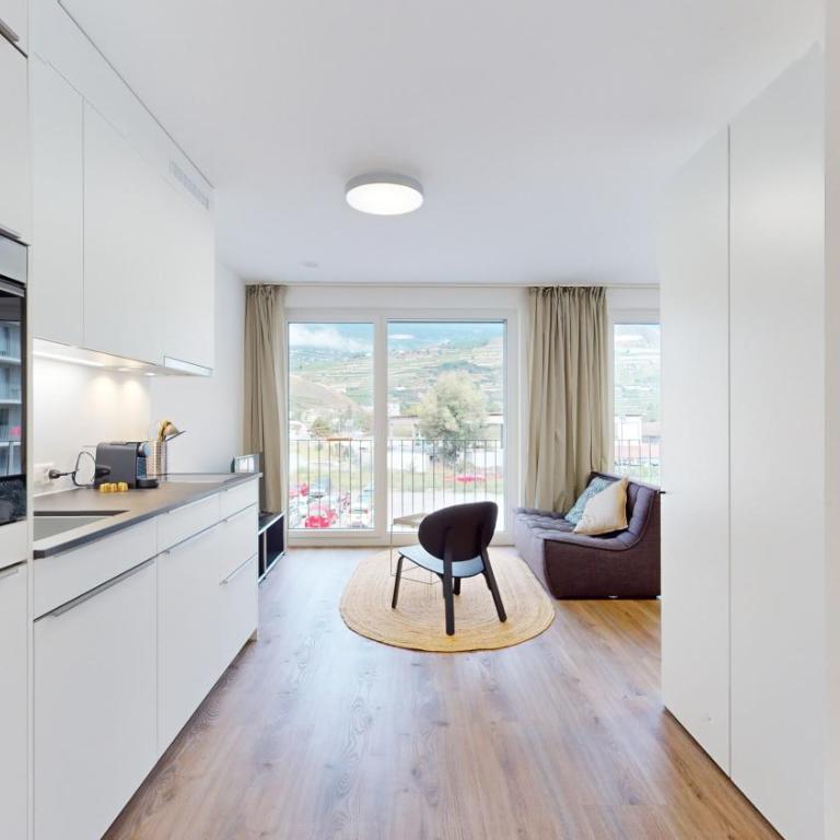 Bright & modern apartments in Sion - Deluxe Studio - 3