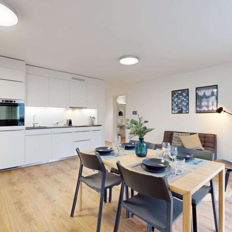 Bright & modern apartments in Sion - Deluxe Studio - 4