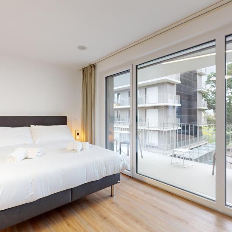Bright & modern apartments in Sion - Deluxe Studio - 3