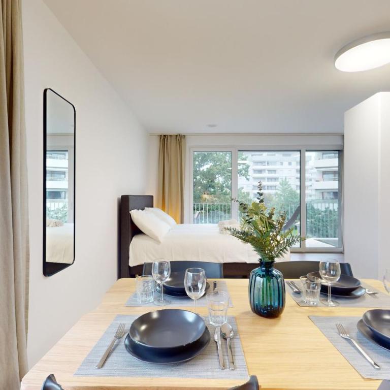 Bright & modern apartments in Sion - Deluxe Studio - 2