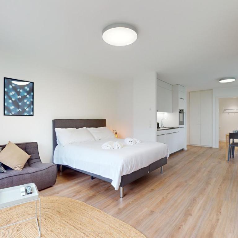 Bright & modern apartments in Sion - Deluxe Studio - 4