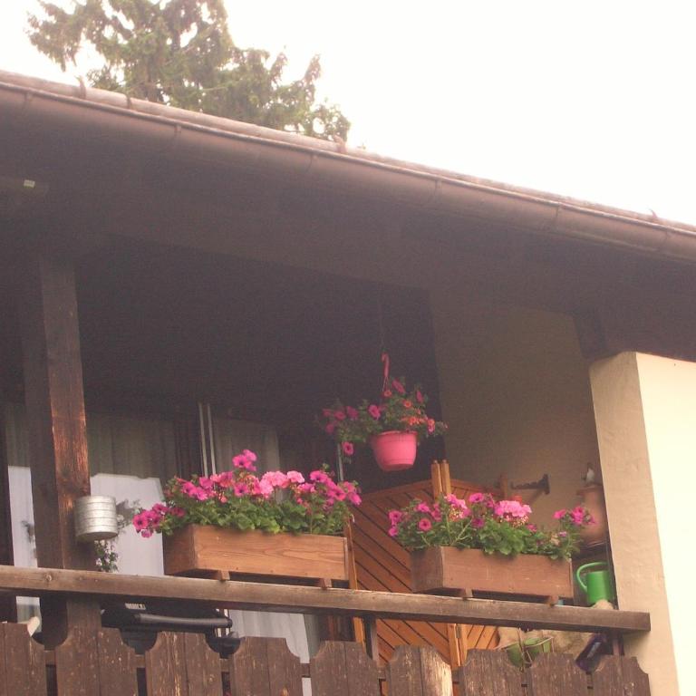 Ferienwohnung Franziska - Apartment mit 1 Schlafzimmer - 9