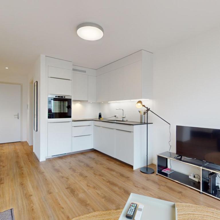 Bright & modern apartments in Sion - Deluxe Studio - 2