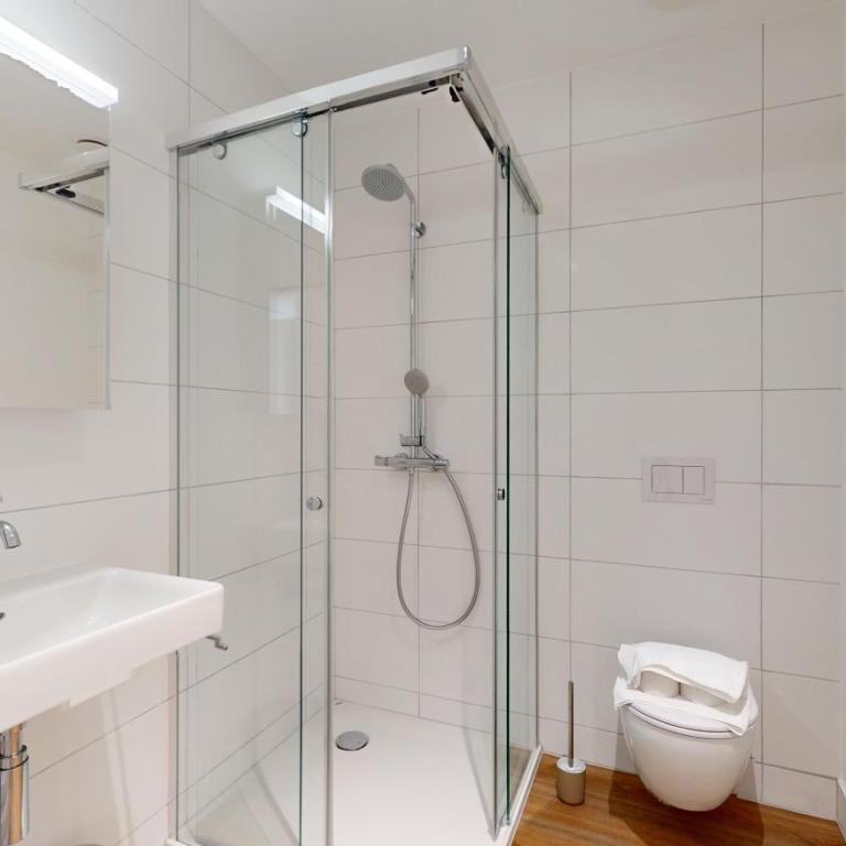 Bright & modern apartments in Sion - Deluxe Studio - 3