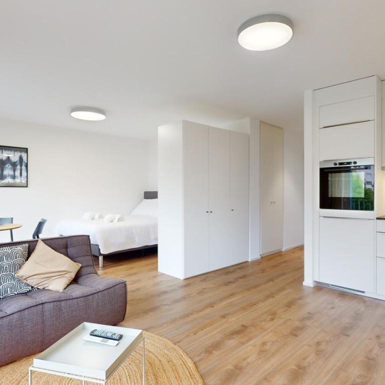 Bright & modern apartments in Sion - Deluxe Studio - 5
