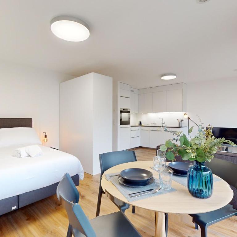 Bright & modern apartments in Sion - Deluxe Studio - 6