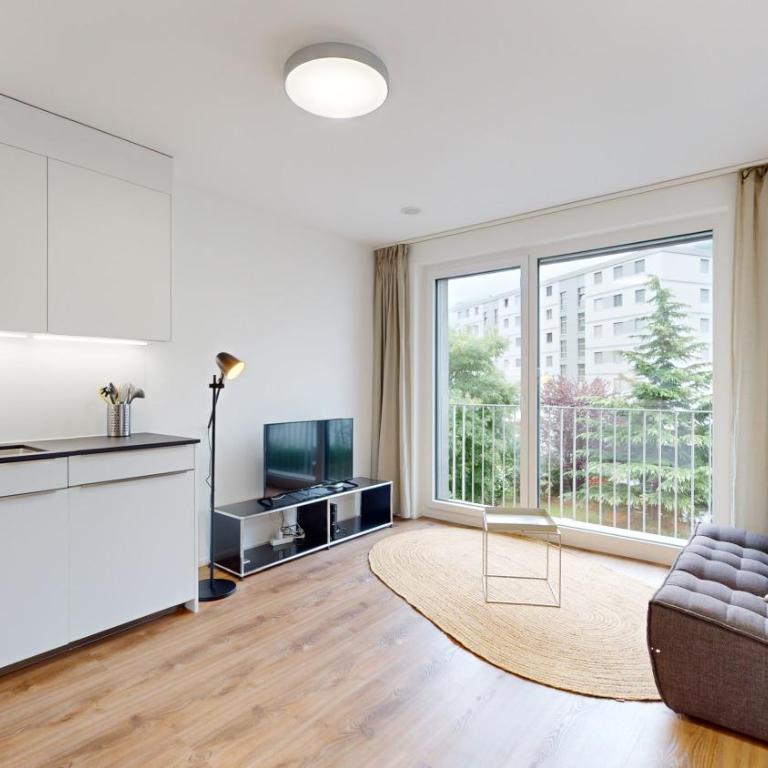 Bright & modern apartments in Sion - Deluxe Studio - 7