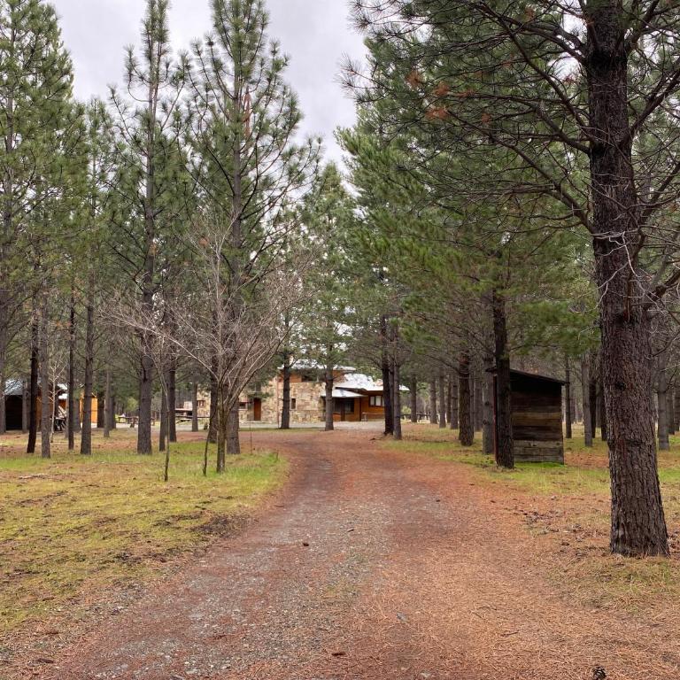 Hermosa Casa en Bosque De Pinos Trevelin! - Casa de 3 dormitorios - 25