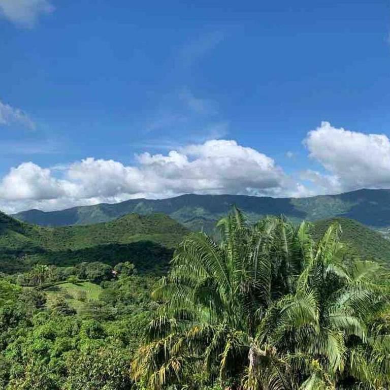 Las Palmeras - Villa de 2 dormitorios - 13