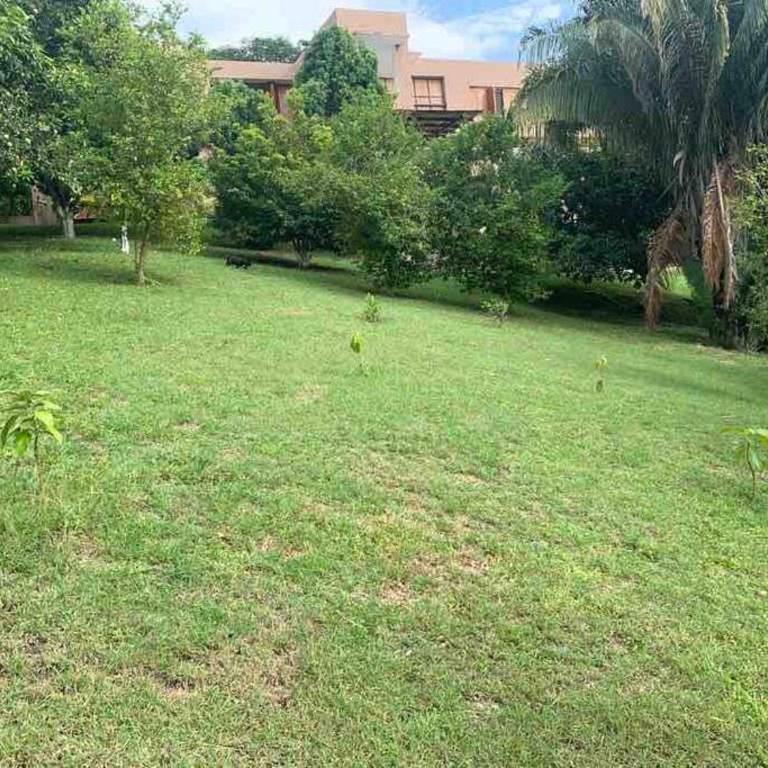 Las Palmeras - Villa de 2 dormitorios - 27