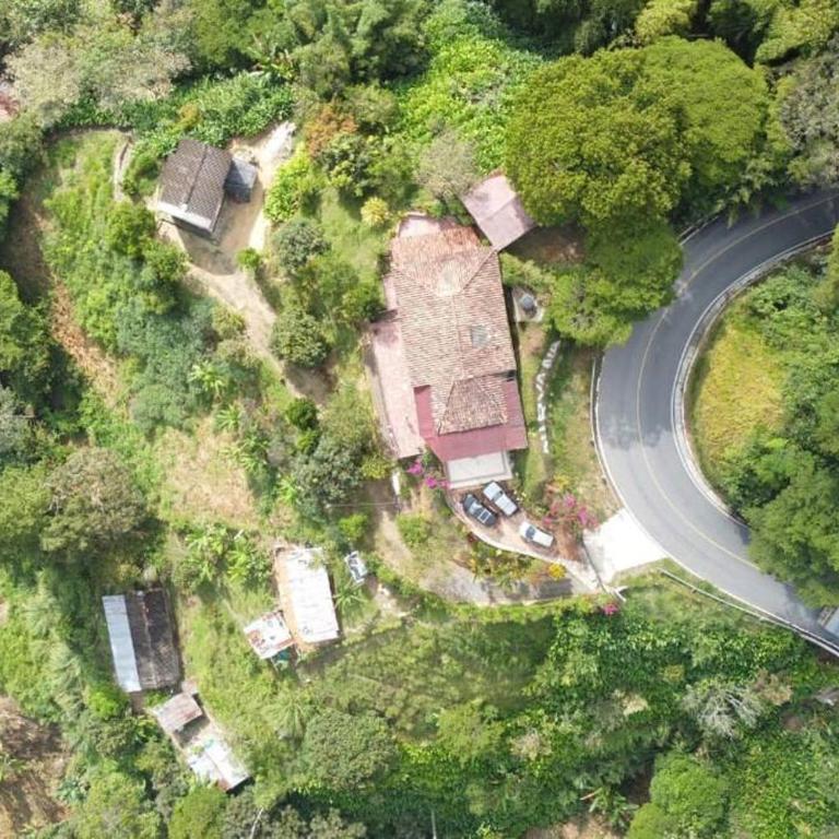 Linda finca, ideal para descansar, vista increíble - Villa - 7